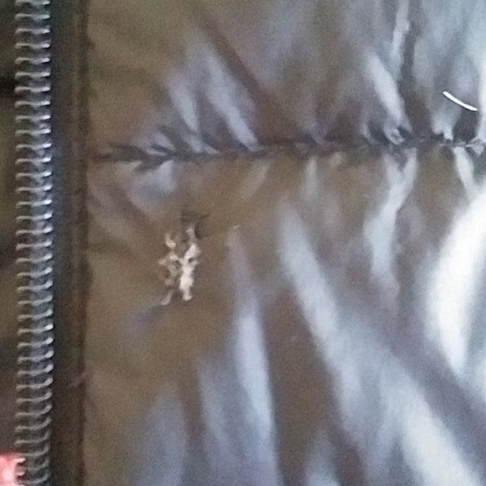 Jacket - Picture 3 of 3